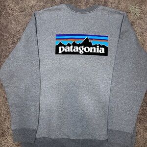 Patagonia crew neck